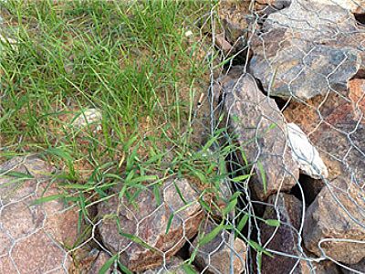 ��÷ˮ�쑪�����؏S���U�zʯ�\